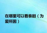 在哪里可以看泰剧（为爱所困）