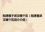 阳逻属于武汉哪个区（阳逻是武汉哪个区简介介绍）