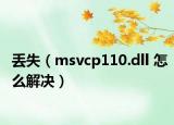丢失（msvcp110.dll 怎么解决）