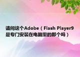 请问这个Adobe（Flash Player9是专门安装在电脑里的那个吗）