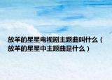 放羊的星星电视剧主题曲叫什么（放羊的星星中主题曲是什么）