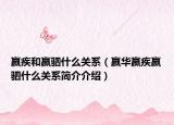 嬴疾和嬴驷什么关系（嬴华嬴疾嬴驷什么关系简介介绍）