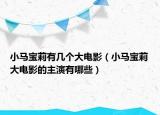 小马宝莉有几个大电影（小马宝莉大电影的主演有哪些）