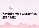 大明湖畔有什么（大明湖畔在哪里简介介绍）