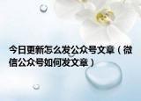 今日更新怎么发公众号文章（微信公众号如何发文章）