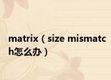 matrix（size mismatch怎么办）