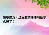 情感魔方（透支爱情原原现在怎么样了）