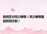 如何区分风力等级（风力等级是如何划分的）