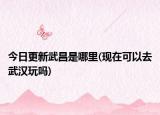 今日更新武昌是哪里(现在可以去武汉玩吗)