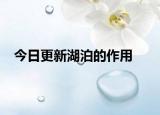 今日更新湖泊的作用