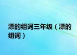 漂的组词三年级（漂的组词）