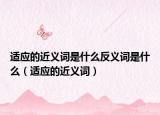 适应的近义词是什么反义词是什么（适应的近义词）