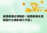 赵薇黄渤主演电影（赵薇黄渤主演的是什么电影简介介绍）
