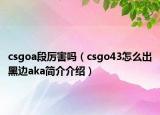 csgoa段厉害吗（csgo43怎么出黑边aka简介介绍）