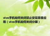 vivo手机如何关闭禁止安装恶意应用（vivo手机如何关闭分屏）