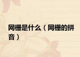 网栅是什么（网栅的拼音）