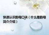 快速认识韵母口诀（什么是韵母简介介绍）