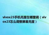 vivox23手机亮度在哪里调（vivox23怎么调整屏幕亮度）