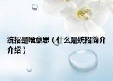 统招是啥意思（什么是统招简介介绍）