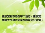 重庆宠物市场在哪个地方（重庆宠物最大交易市场是在哪里简介介绍）