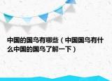 中国的国鸟有哪些（中国国鸟有什么中国的国鸟了解一下）