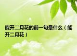 能开二月花的前一句是什么（能开二月花）