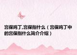 宫保鸡丁,宫保指什么（宫保鸡丁中的宫保指什么简介介绍）