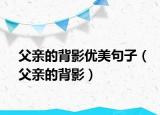 父亲的背影优美句子（父亲的背影）