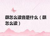 蕻怎么读音是什么（蕻怎么读）