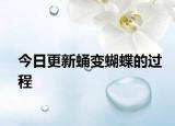 今日更新蛹变蝴蝶的过程