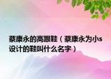 蔡康永的高跟鞋（蔡康永为小s设计的鞋叫什么名字）