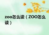 zoo怎么读（ZOO怎么读）