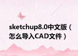 sketchup8.0中文版（怎么导入CAD文件）