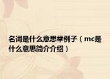 名词是什么意思举例子（mc是什么意思简介介绍）