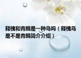 释槐和青鹧是一种鸟吗（释槐鸟是不是青鹧简介介绍）
