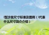 l型沙发尺寸标准及图例（l代表什么尺寸简介介绍）