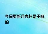 今日更新月亮杯是干嘛的