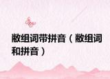 敝组词带拼音（敝组词和拼音）