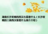 湖南长沙发掘的西汉古墓是什么（长沙发掘的三座西汉墓是什么简介介绍）