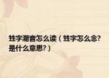 甡字潮音怎么读（甡字怎么念?是什么意思?）