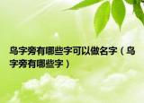 鸟字旁有哪些字可以做名字（鸟字旁有哪些字）