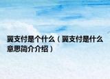 翼支付是个什么（翼支付是什么意思简介介绍）