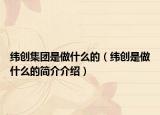 纬创集团是做什么的（纬创是做什么的简介介绍）