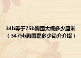 34b等于75b胸围大概多少厘米（3475b胸围是多少简介介绍）
