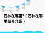 石林在哪里?（石林在哪里简介介绍）