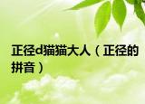 正径d猫猫大人（正径的拼音）