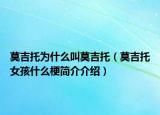 莫吉托为什么叫莫吉托（莫吉托女孩什么梗简介介绍）