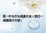 臣一什么什么成语大全（臣打一成语简介介绍）