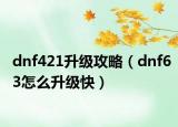dnf421升级攻略（dnf63怎么升级快）