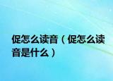 促怎么读音（促怎么读音是什么）